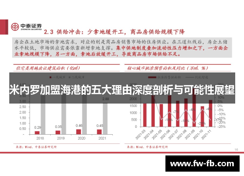 米内罗加盟海港的五大理由深度剖析与可能性展望 米内罗加盟海港的五大理由深度剖析与可能性展望