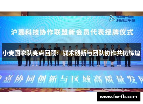 小麦国家队亮点回顾：战术创新与团队协作共铸辉煌