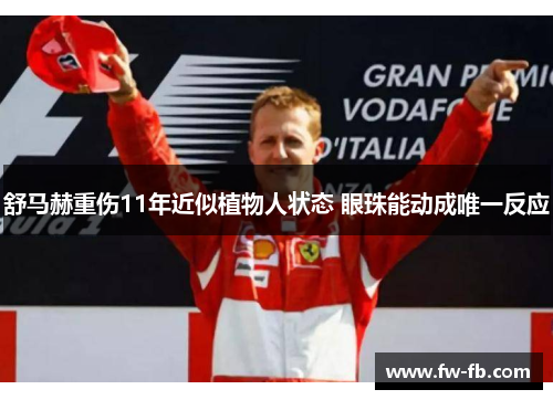 舒马赫重伤11年近似植物人状态 眼珠能动成唯一反应 舒马赫重伤11年近似植物人状态 眼珠能动成唯一反应