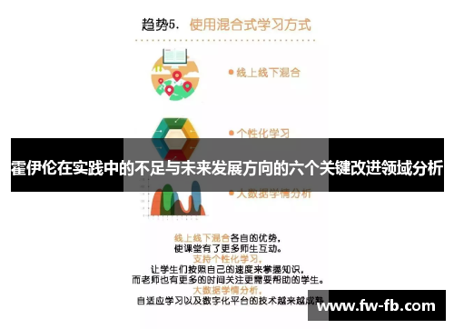 霍伊伦在实践中的不足与未来发展方向的六个关键改进领域分析