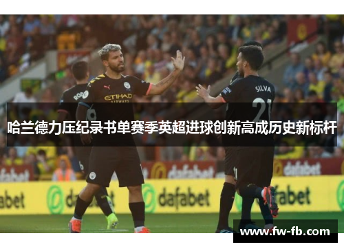 哈兰德力压纪录书单赛季英超进球创新高成历史新标杆