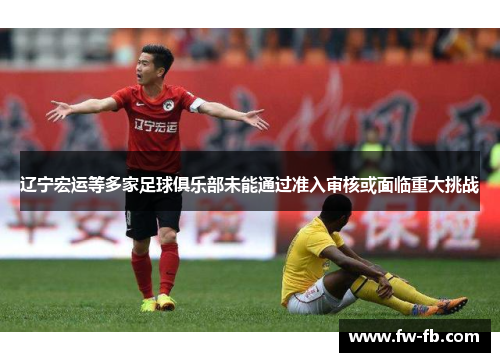 辽宁宏运等多家足球俱乐部未能通过准入审核或面临重大挑战
