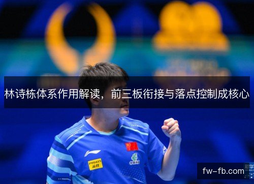 林诗栋体系作用解读，前三板衔接与落点控制成核心
